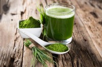 Grünes Blut - Chlorella Grünes Blut - Chlorella